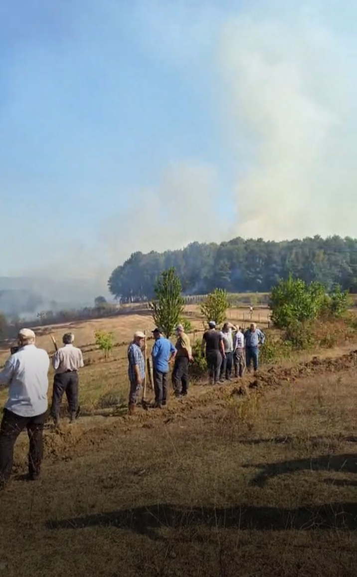 Devrek’te Orman Yangını Kontrol Altında – Son Durum