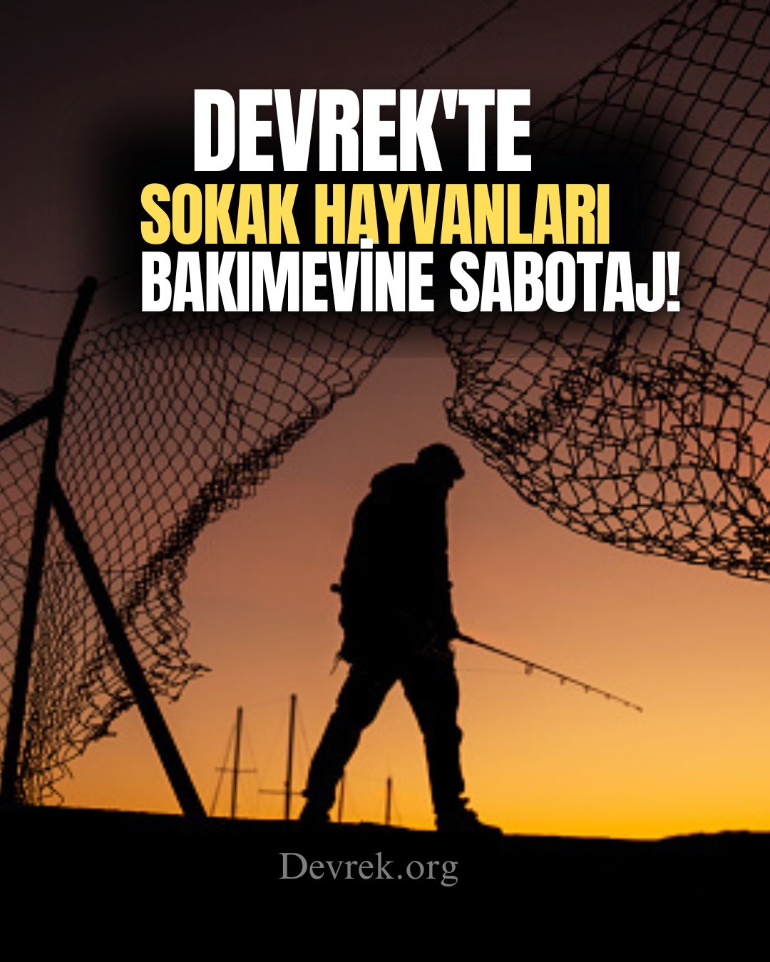 Sokak Hayvanları Bakımevine Sabotaj! Teller Kesildi, Hayvanlar Kaçırıldı